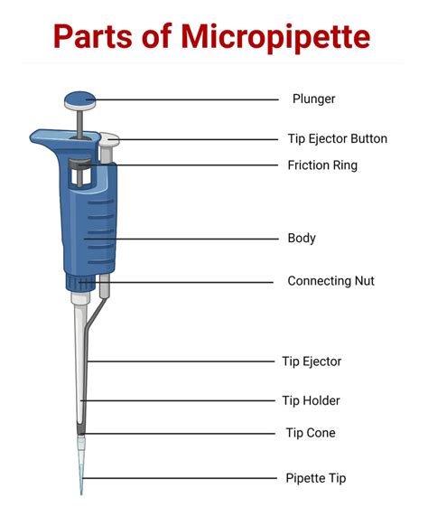 micropipette tips diagram